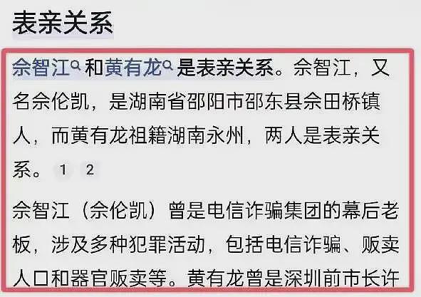 佘智江被抓，牵出赵薇前夫黄有龙和妙瓦底诈骗的瓜，真相太炸裂（组图） - 4