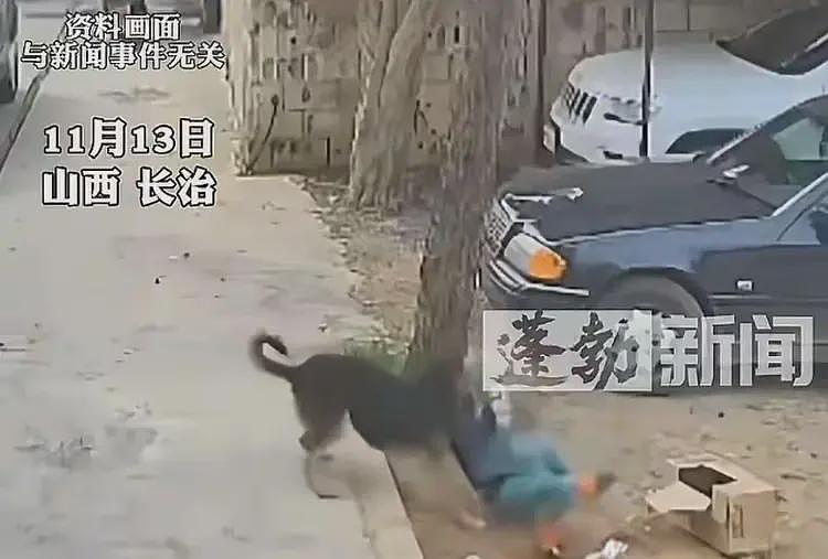 大反转!狗咬人事件凶器上只有死者DNA,重伤者疑被自己人所伤?(组图) - 4