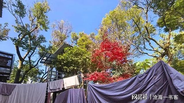 50岁龚琳娜独居深山，房子后面是一片坟地，离婚后养猫为伴不害怕（组图） - 6