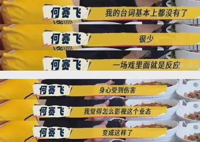 何赛飞公开吐槽流量演员,自曝被迫让戏,网友扒出她和杨紫合作过(组图) - 5