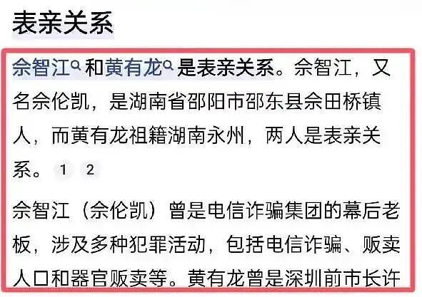 佘智江被抓,牵出赵薇前夫黄有龙和妙瓦底诈骗的瓜,真相太炸裂(组图) - 4