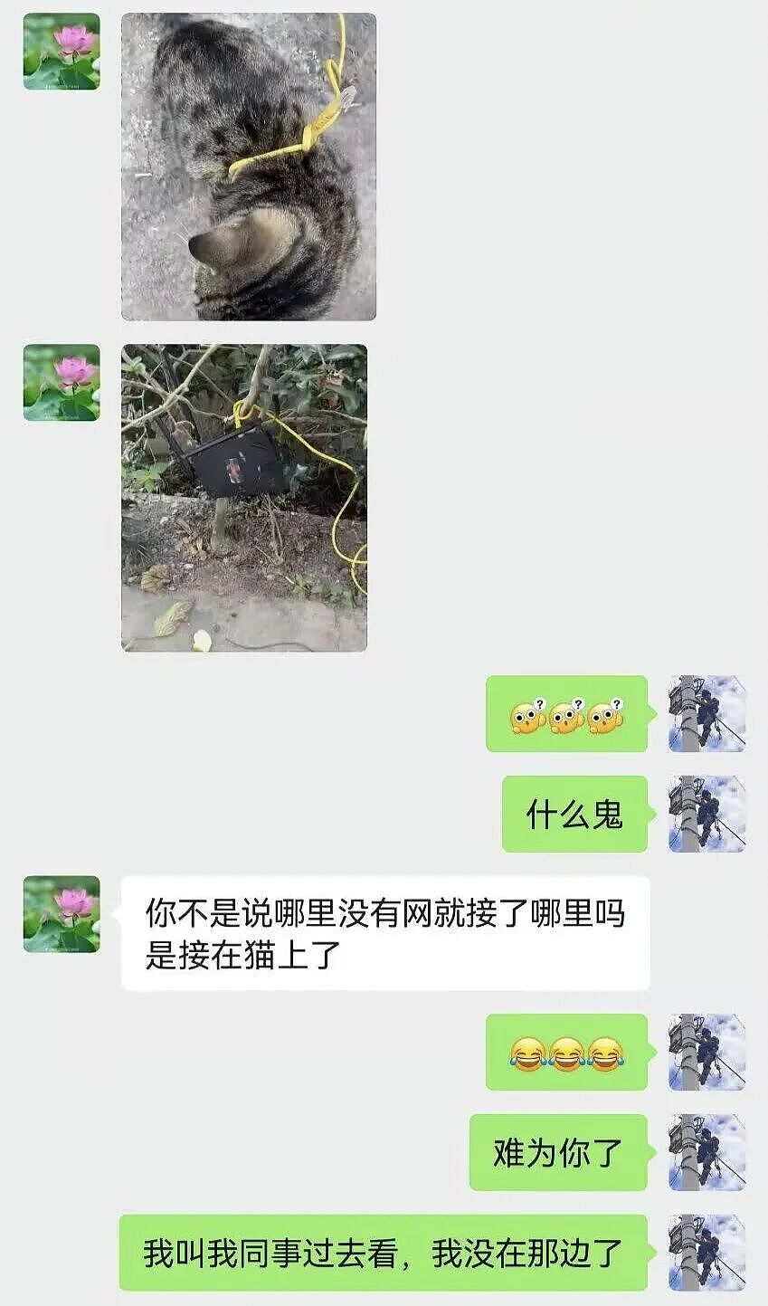 【爆笑】“和珅上班为什么不打车？”哈哈哈哈哈哈哈哈网友太有梗了（组图） - 17