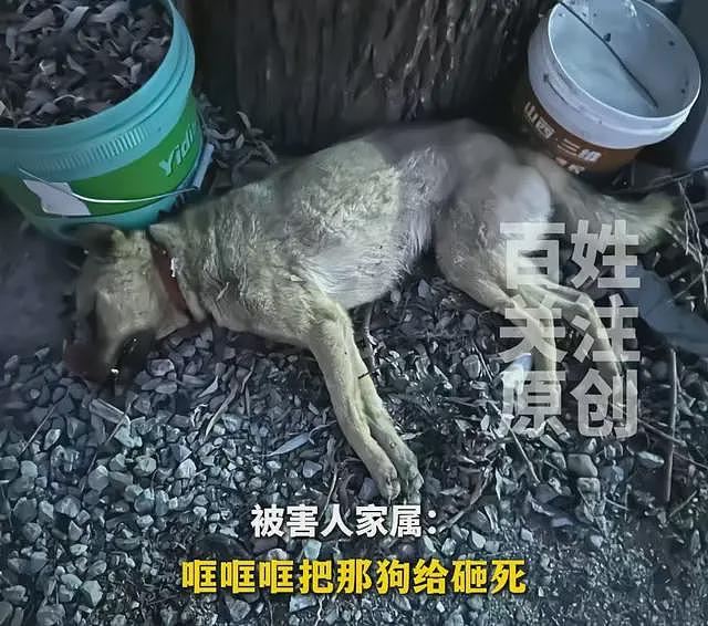 大反转！狗主人上门打砸遭反杀续：重要证据出现，谁杀了谁不好说（组图） - 1
