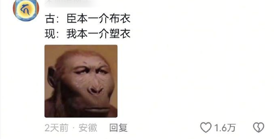 【爆笑】“和珅上班为什么不打车？”哈哈哈哈哈哈哈哈网友太有梗了（组图） - 54
