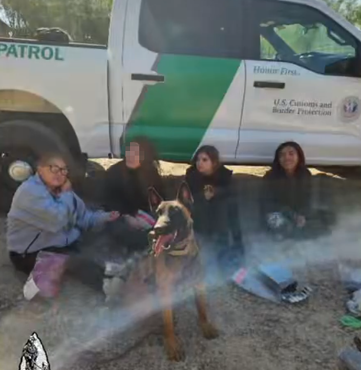 太惨了!华女刚进美国就被抓,躲草丛被警犬找到!出庭时情绪崩溃、泪流满面...(组图) - 4