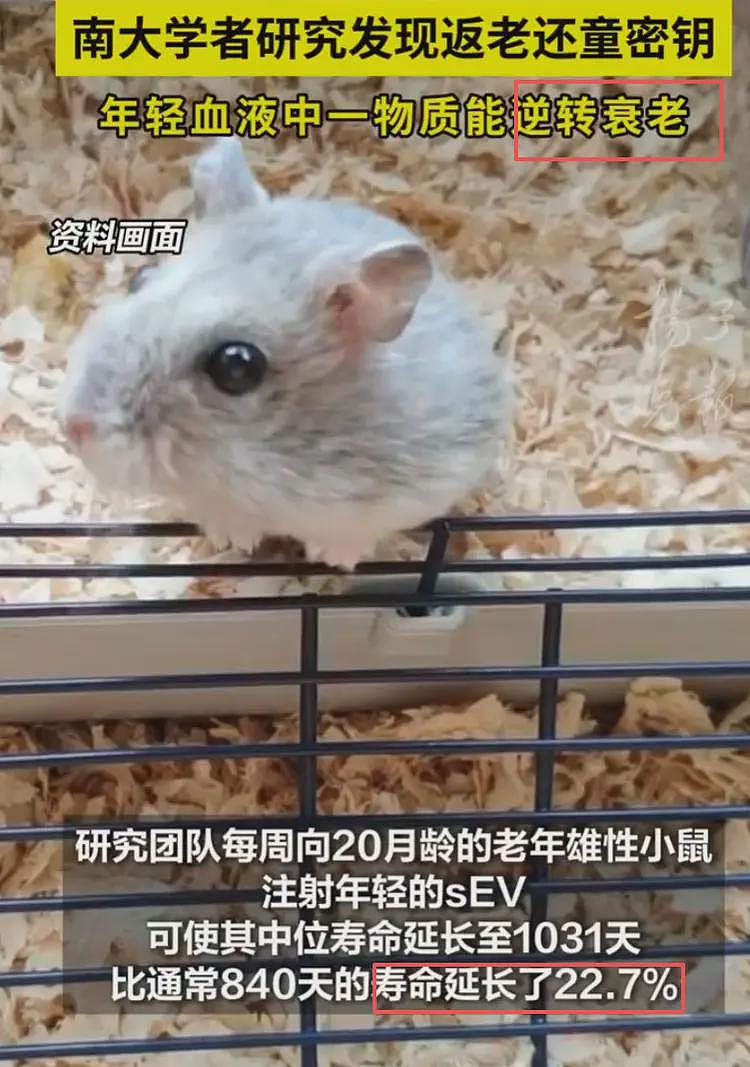 李连杰返老孩童被扒新线索,本人行为太反常,官媒曾披露具体细节(组图) - 7