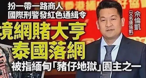 佘智江被抓,牵出赵薇前夫黄有龙和妙瓦底诈骗的瓜,真相太炸裂(组图) - 5