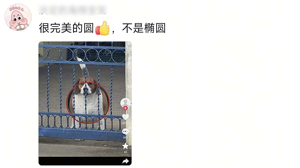 【爆笑】“和珅上班为什么不打车？”哈哈哈哈哈哈哈哈网友太有梗了（组图） - 74