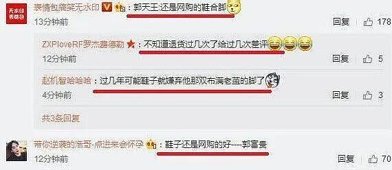 八年天王嫂，三胎接连拼，她真“卑微”吗？（组图） - 8