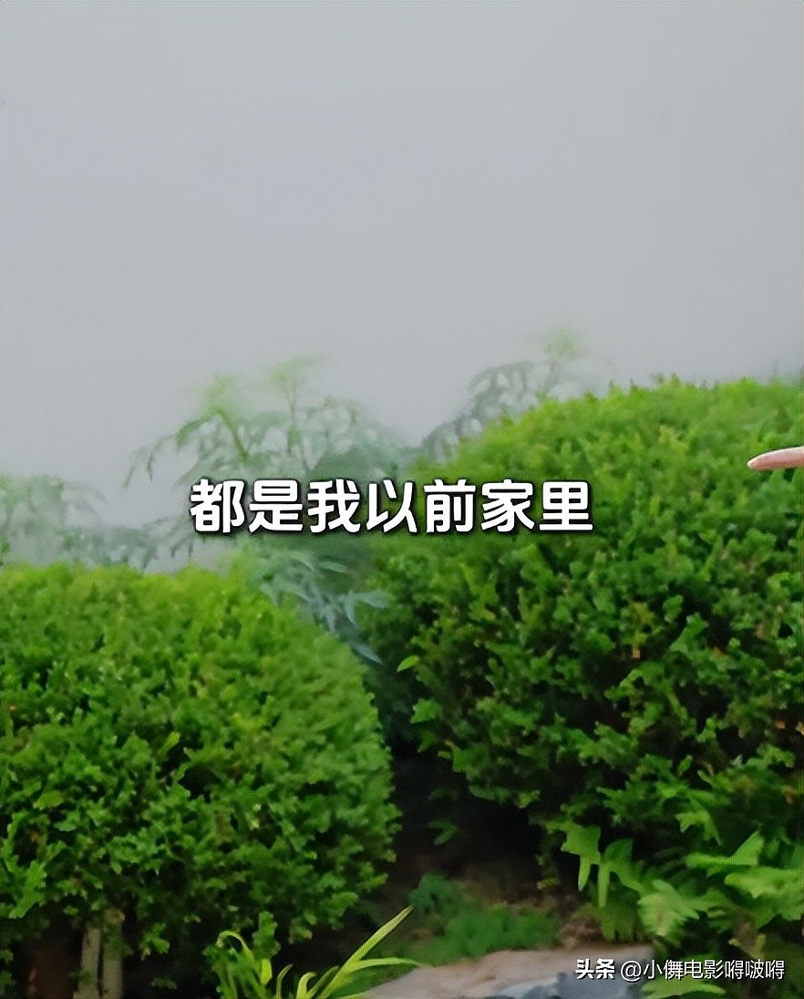 王中磊破产！携全家搬出庄园，老婆愁眉苦脸无奈接受降级（组图） - 24
