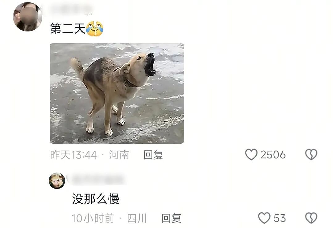 【爆笑】“和珅上班为什么不打车？”哈哈哈哈哈哈哈哈网友太有梗了（组图） - 92