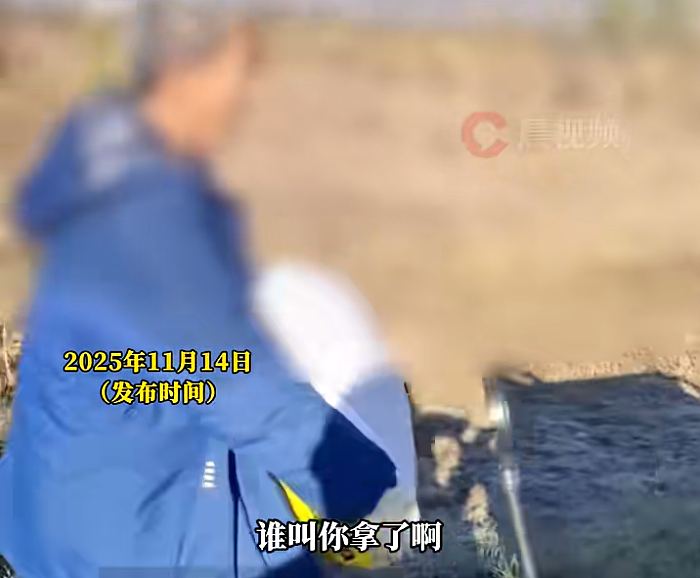 100亩向日葵遭周边村民哄抢破坏，警方已拘留8人！“30%被抢走，70%被糟蹋，损失50万元”（组图） - 2