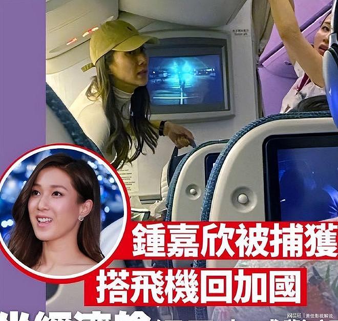 曝2大离婚瓜!国民男星夫妻反目分居2年,钟嘉欣7年抱仨遭骗婚(组图) - 17