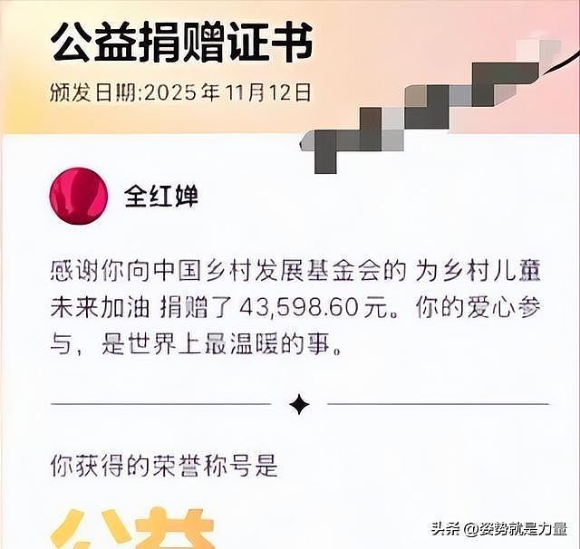 全红婵捐款4万后遭恶评围剿，豪宅风波还没停，18 岁的她扛太多了（组图） - 3
