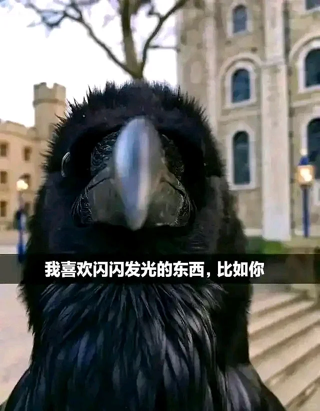 【爆笑】“第二杯半价背后的真实原因……”哈哈哈哈哈哈哈太过分了（组图） - 93