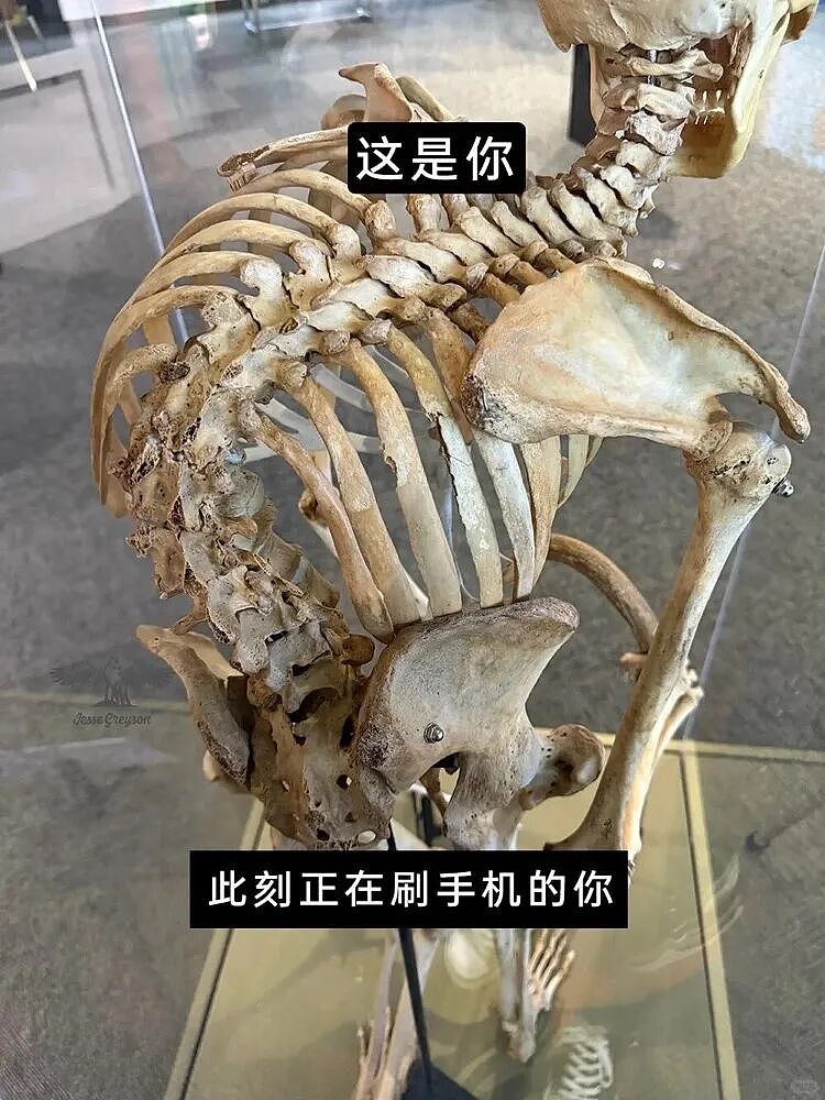 【爆笑】“和珅上班为什么不打车？”哈哈哈哈哈哈哈哈网友太有梗了（组图） - 96