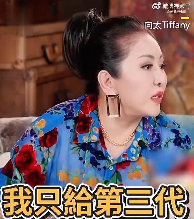 向太陈岚自曝想改遗嘱,将家族资产直接留给第三代孙辈(组图) - 2