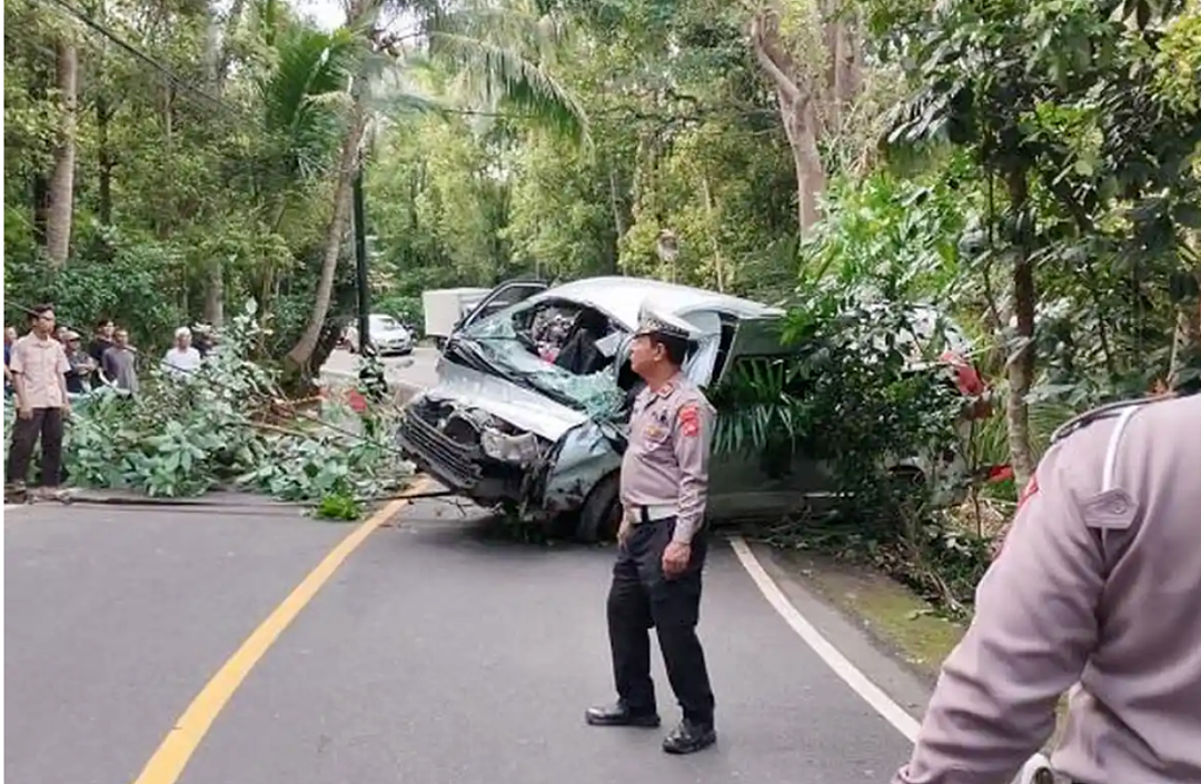 已证实!多名中国公民身亡,突发车祸汽车坠入山沟,载有13名中国游客...(组图) - 1