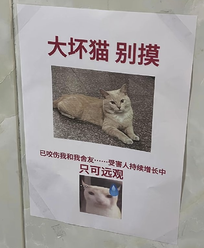 【爆笑】“和珅上班为什么不打车？”哈哈哈哈哈哈哈哈网友太有梗了（组图） - 34