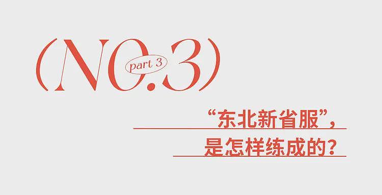 杀疯了的迪桑特，统一东北大哥审美（组图） - 25