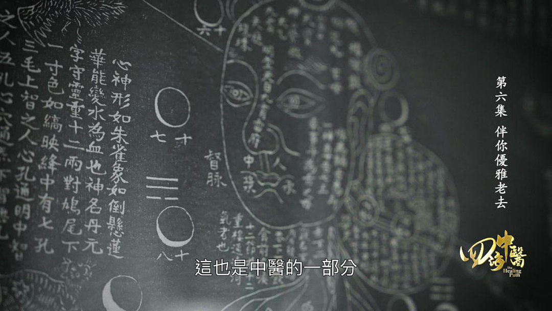 在意大利,见证中医的另一种治愈(组图) - 6