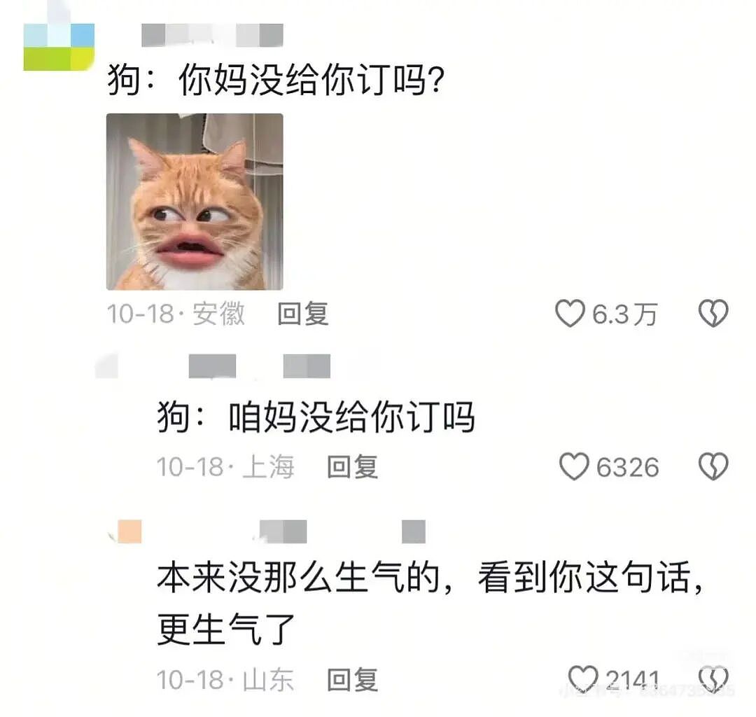 【爆笑】“谈到实力很硬的大哥是什么体验…?”哈哈哈事事有回应件件是破烂!(组图) - 26
