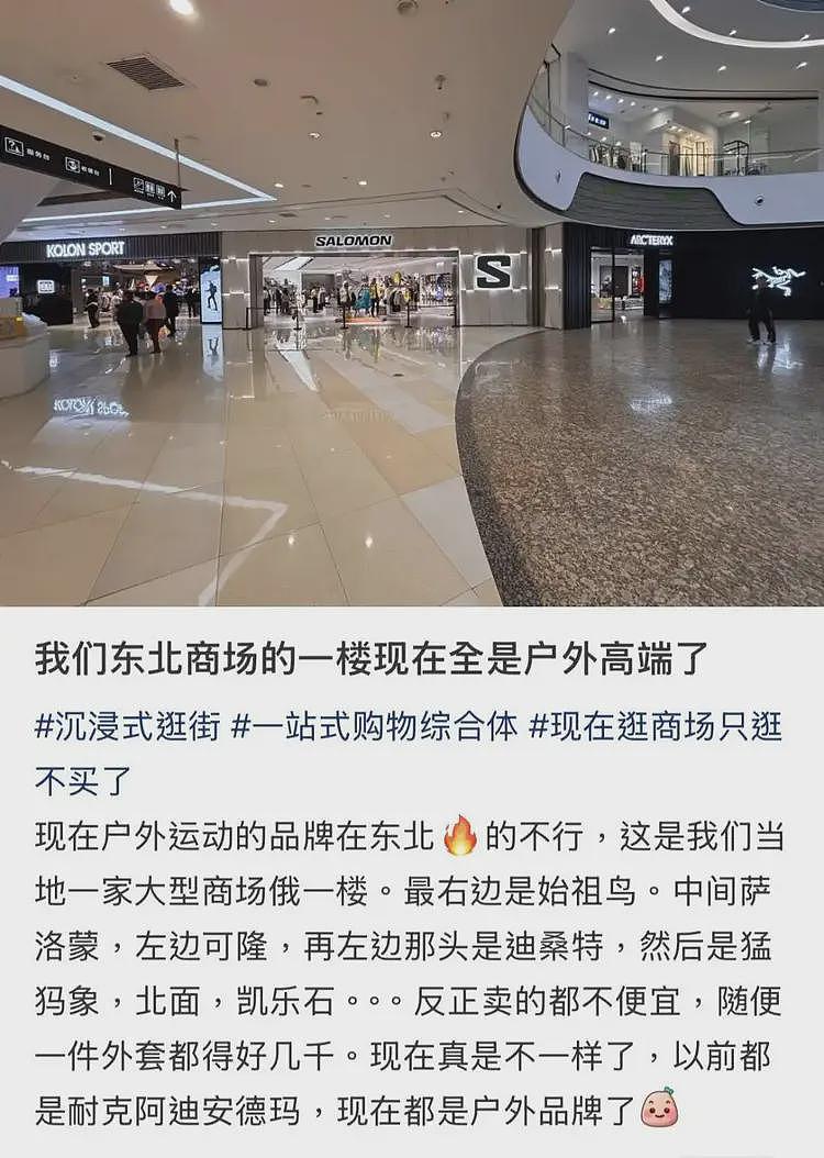 杀疯了的迪桑特，统一东北大哥审美（组图） - 19