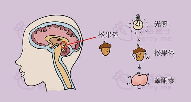 【两性】为爱鼓掌时，大多数女生都不喜欢这样！（组图） - 2