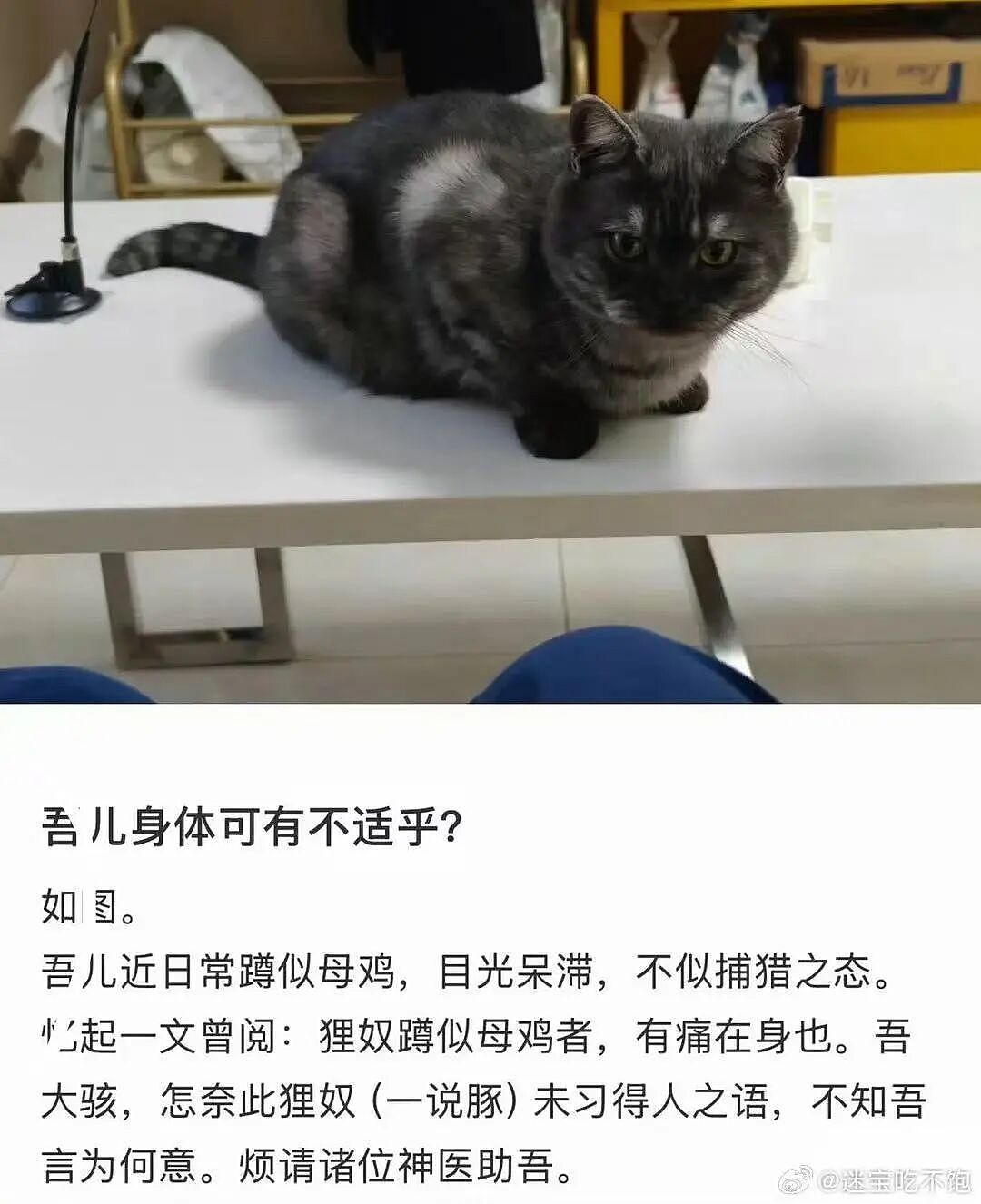 【爆笑】“谈到实力很硬的大哥是什么体验…?”哈哈哈事事有回应件件是破烂!(组图) - 70