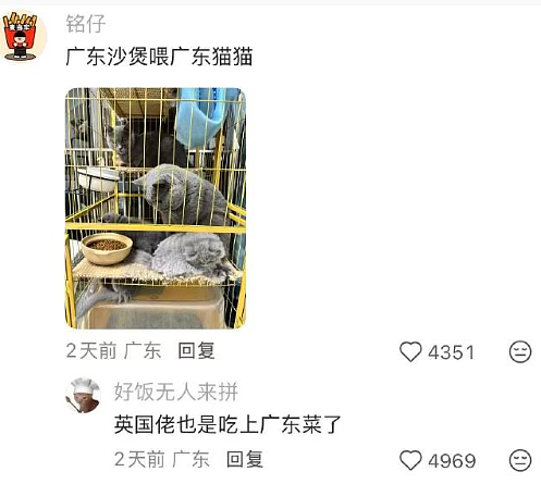 【爆笑】在一起8年的男朋友出轨了,分手后还能复合么?网友的评论一针见血!(组图) - 14
