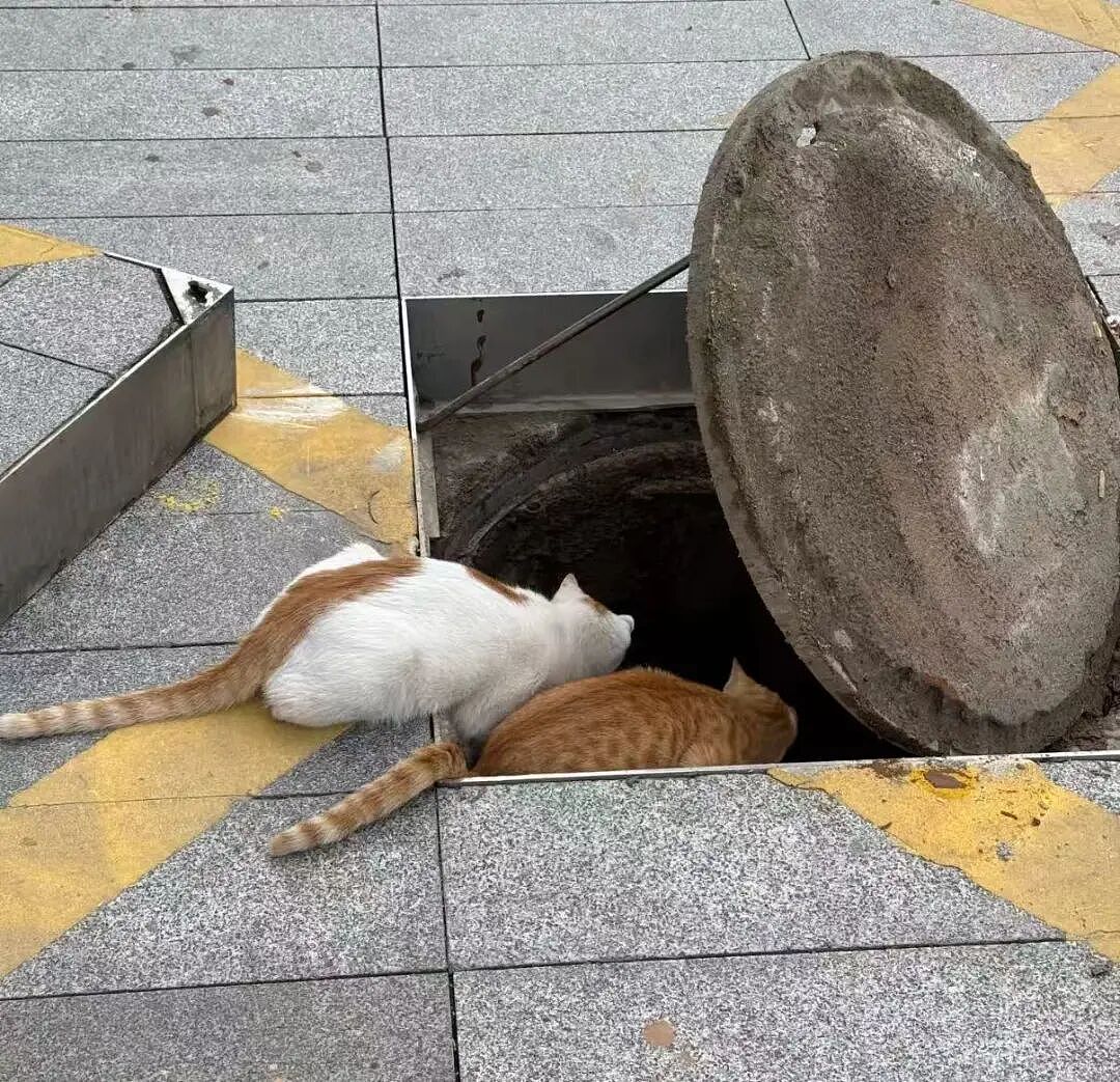 【爆笑】“谈到实力很硬的大哥是什么体验…?”哈哈哈事事有回应件件是破烂!(组图) - 31