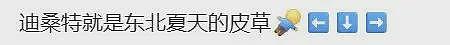 杀疯了的迪桑特，统一东北大哥审美（组图） - 10