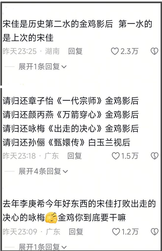 宋佳获奖后口碑大翻车！官方评论区沦陷，过往得奖经历被彻底开扒（组图） - 9