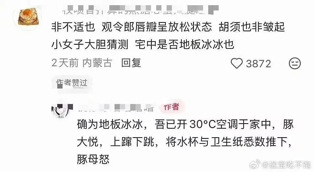 【爆笑】“谈到实力很硬的大哥是什么体验…?”哈哈哈事事有回应件件是破烂!(组图) - 71