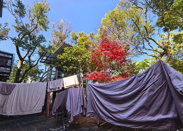 50岁龚琳娜独居深山,房子后面是一片坟地,离婚后养猫为伴不害怕(组图) - 9
