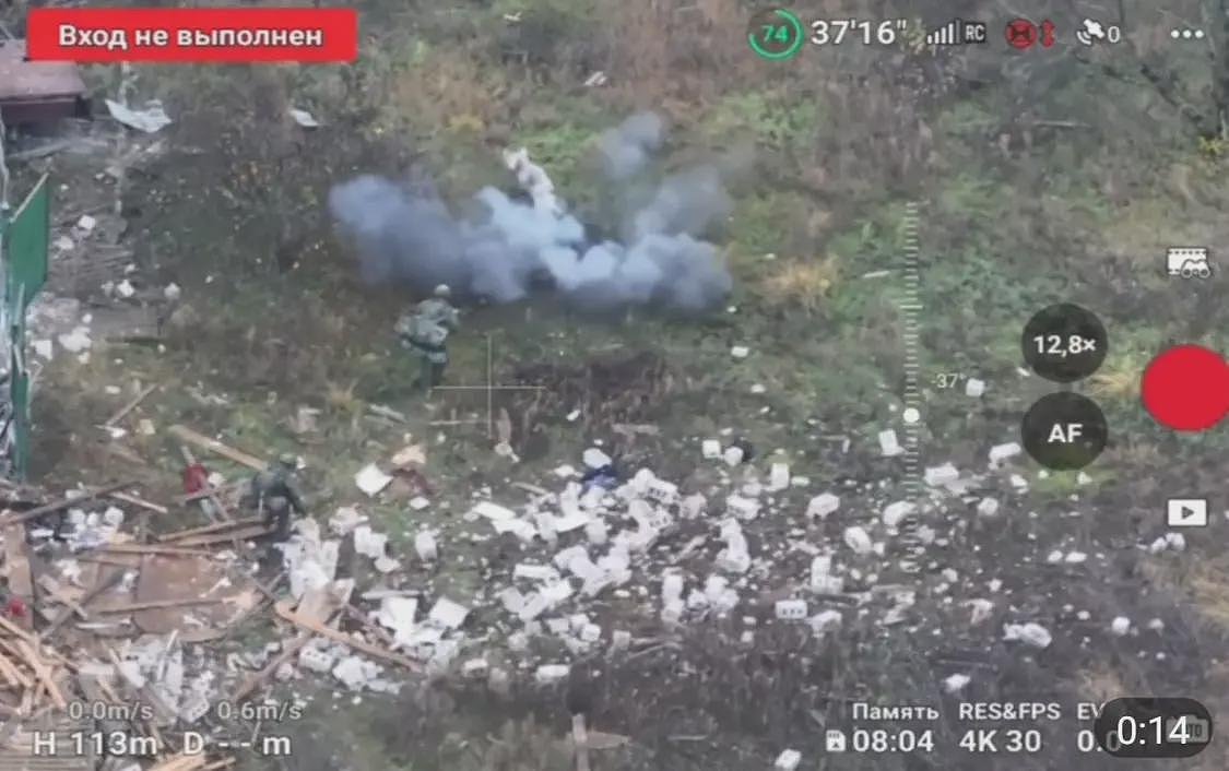 俄媒：视频显示，一头猪突然冲出引爆地雷救下...（图） - 1