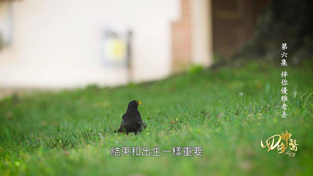 在意大利,见证中医的另一种治愈(组图) - 17