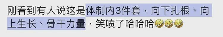 杀疯了的迪桑特，统一东北大哥审美（组图） - 17
