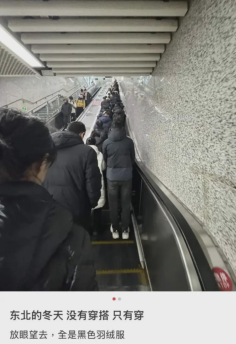 杀疯了的迪桑特，统一东北大哥审美（组图） - 21