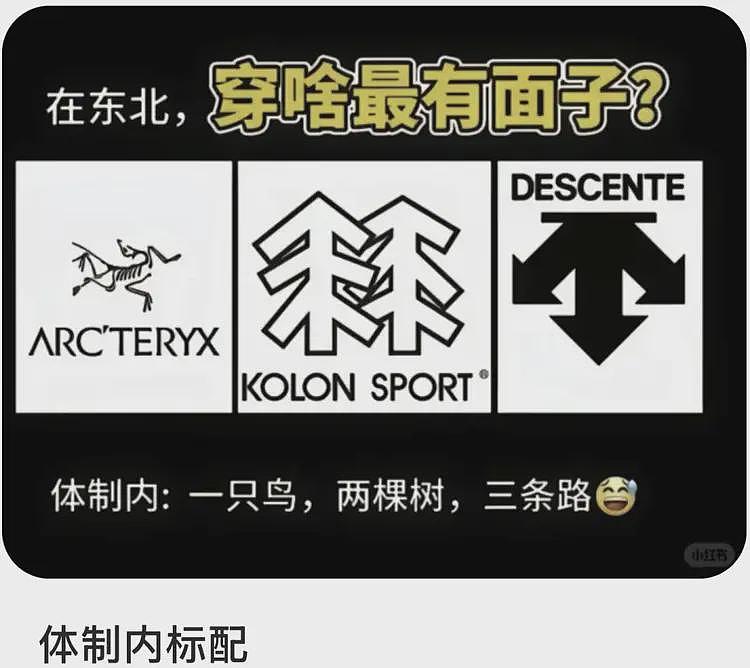 杀疯了的迪桑特，统一东北大哥审美（组图） - 18