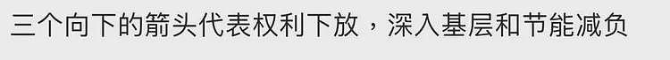 杀疯了的迪桑特，统一东北大哥审美（组图） - 11