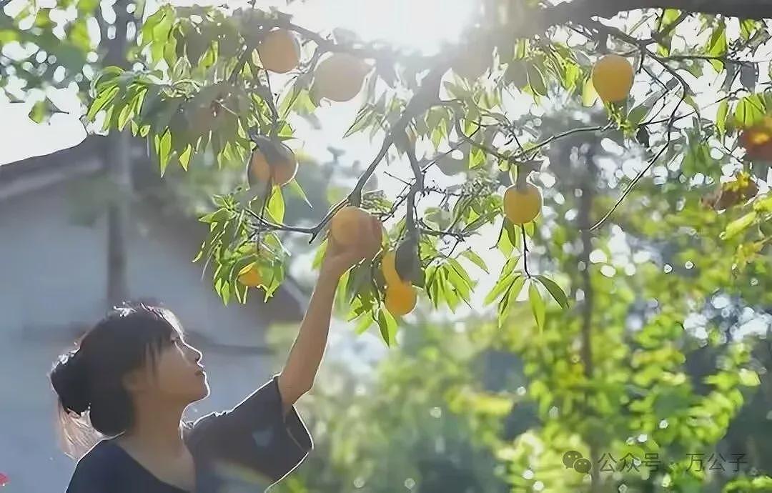李子柒的自建房，才是最令人羡慕的住宅（组图） - 3