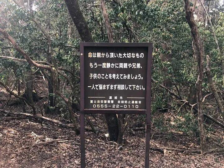 中国女留学生在日本失联已超30天，母亲泣血呼唤“妈妈求你不要放弃自己”，令人揪心（组图） - 3