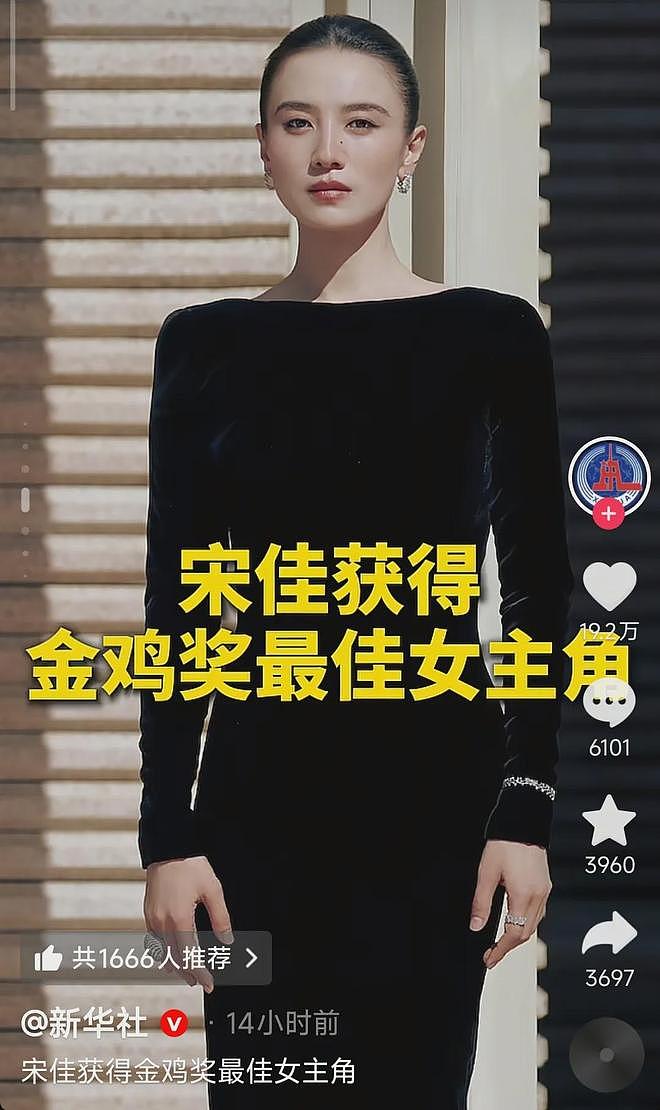 宋佳获奖后口碑大翻车！官方评论区沦陷，过往得奖经历被彻底开扒（组图） - 8