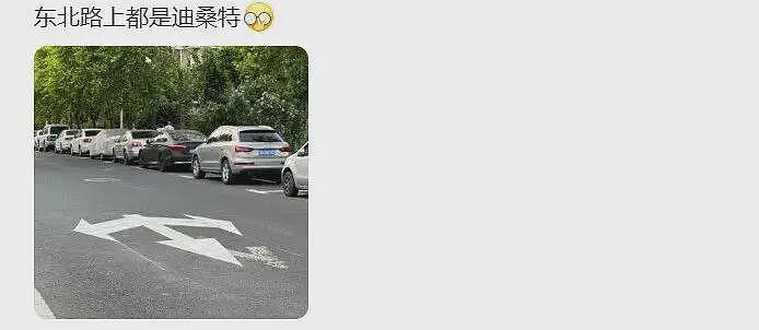 杀疯了的迪桑特，统一东北大哥审美（组图） - 14