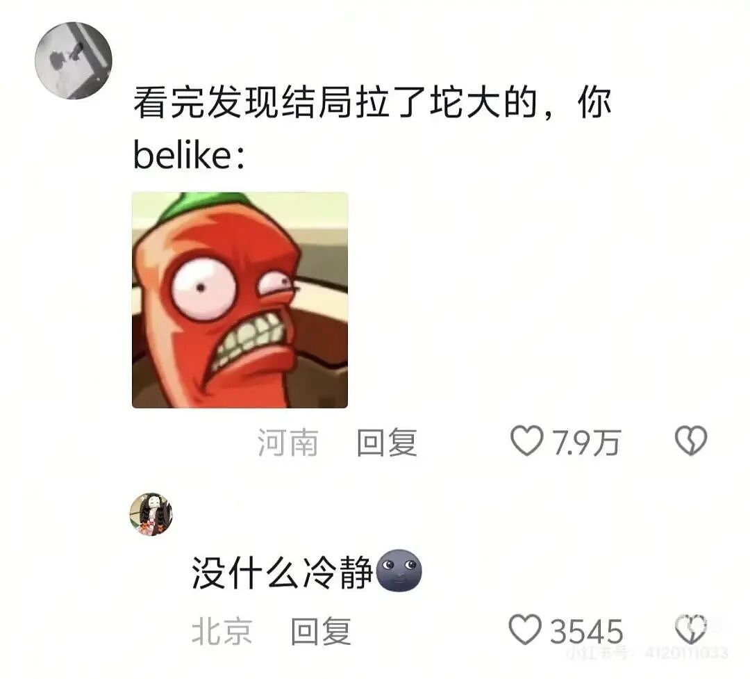 【爆笑】“谈到实力很硬的大哥是什么体验…?”哈哈哈事事有回应件件是破烂!(组图) - 21