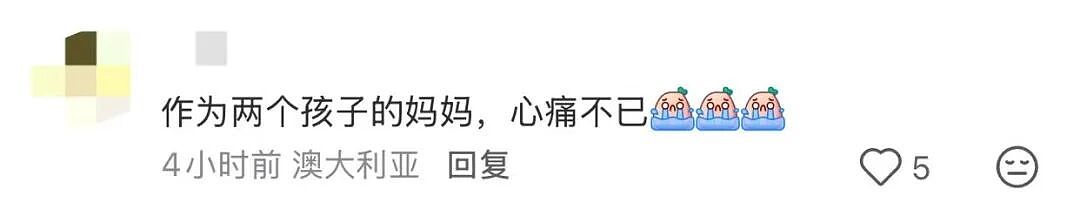 最新细节！Macquarie大学学生闯下大祸！悉尼上北妈妈们集体悲愤（组图） - 3
