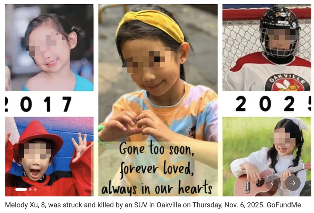 心碎!8岁华人冰球少女车祸身亡,47岁印度裔地产经纪被控罪(组图) - 1