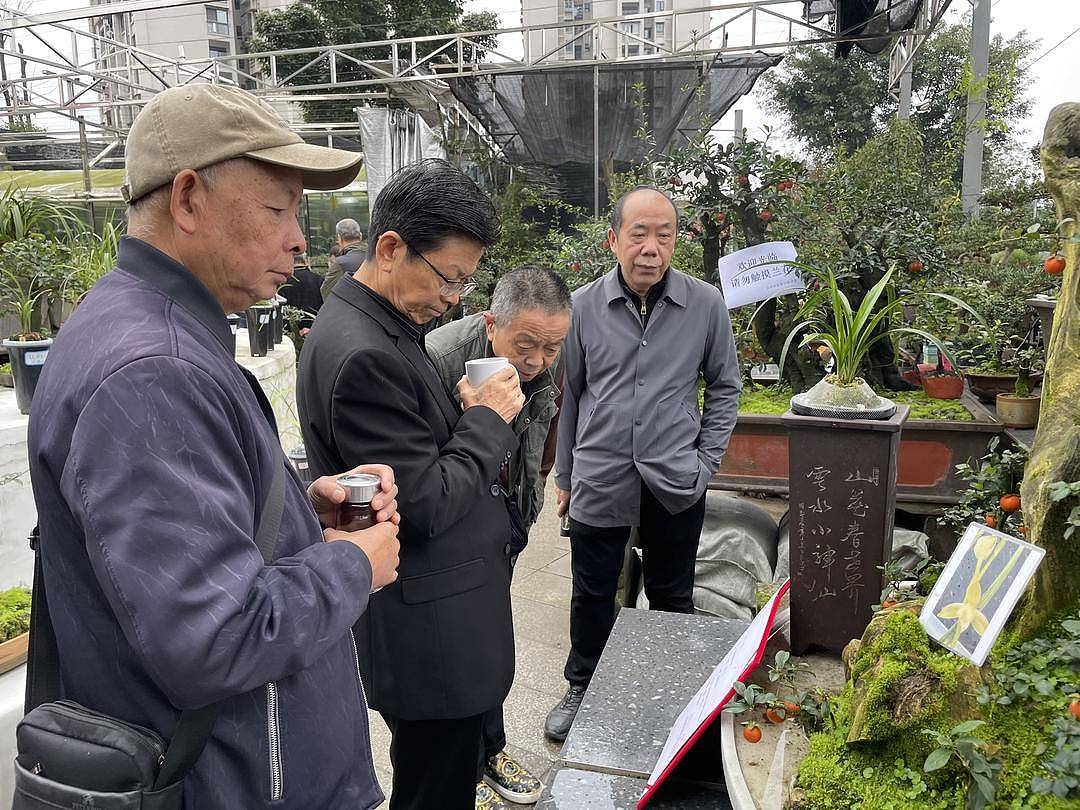 200万一盆!“天价兰花”谁在买?(组图) - 5