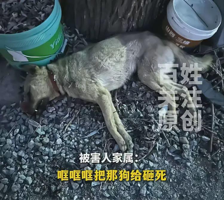 狗主上门被反杀后续：索赔百万、对警方放狠话，邻居曝光郭家不堪（组图） - 9